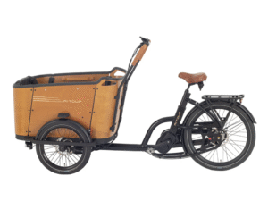 AITOUR LADCYKEL - FAMILY C